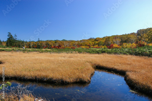 ニセコ五色温泉界隈の紅葉風景