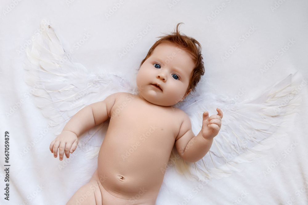 Beautiful Baby . Cute infant angel with wings isolated on white. lovely