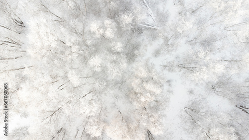 beautiful winter background - aerial top view of snowy winter forest in Estonia