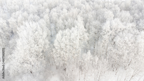beautiful aerial view of snowy winter forest