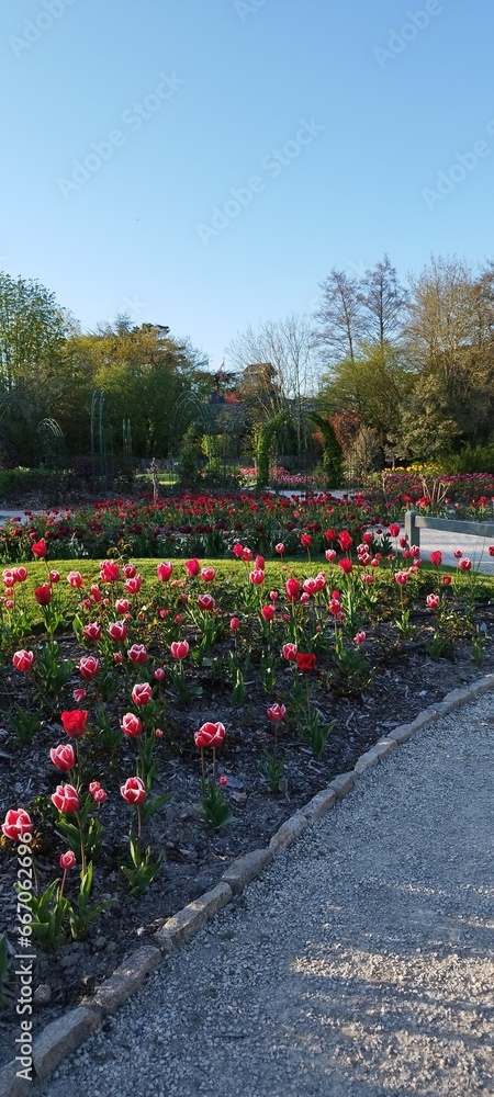 parc et fleurs