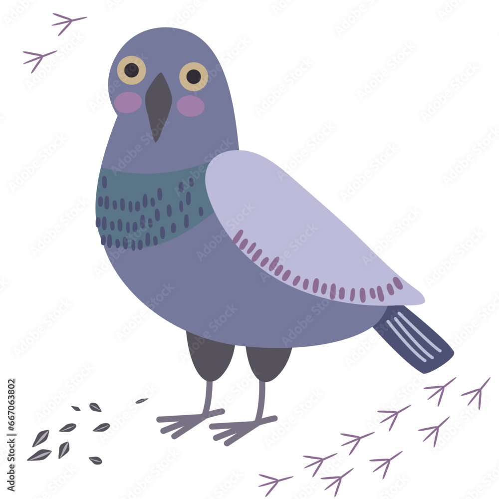 Cartoon Funny Pigeon bird. Flat character design vector 3 Cartoon Funny Pigeon bird. Flat character design vector 3