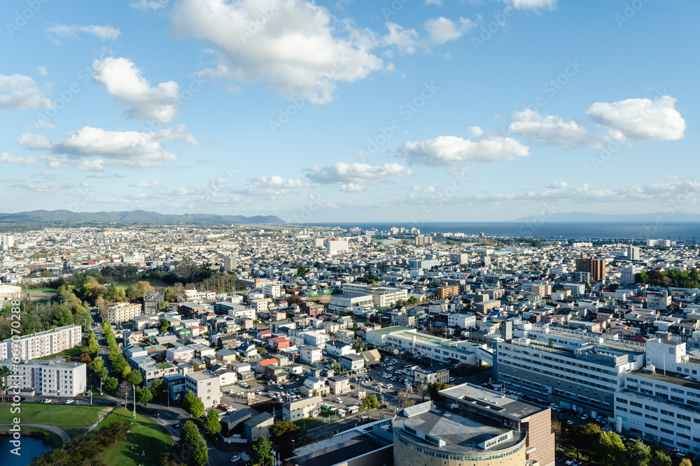 Obraz premium 五稜郭タワーからの景色 函館市街 街並み