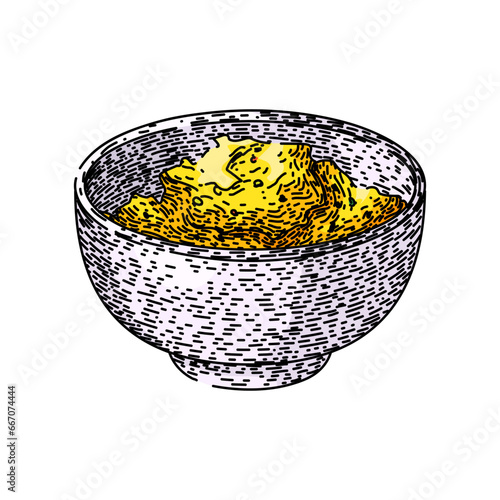 cuisine curry hand drawn. india spicy, asian dish, indian sauce cuisine curry vector sketch. isolated color illustration