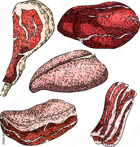 meat set hand drawn. butcher sirloin, cooking fresh, cut red meat vector sketch. isolated color illustration
