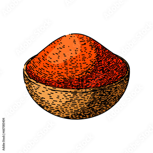 red paprika hand drawn. pepper food, ingredient powder, chili cayenne red paprika vector sketch. isolated color illustration