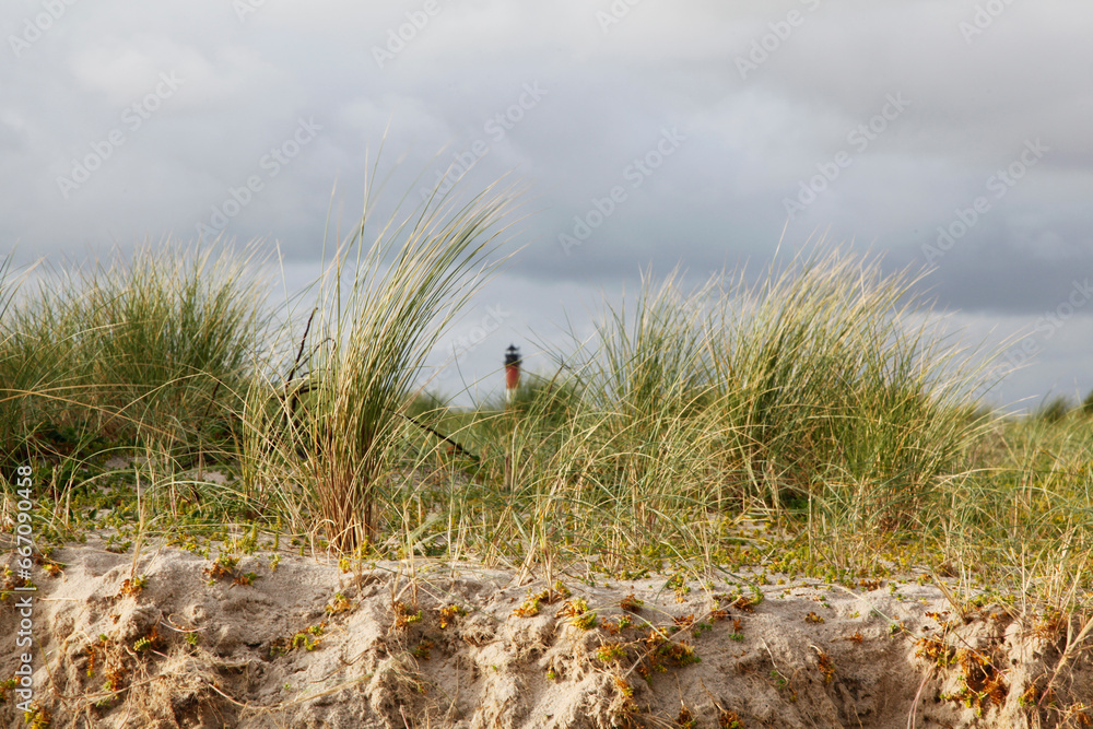 Strandhafer auf Sylt mit Leuchtturm von Hörnum Strandhafer auf Sylt mit Leuchtturm von Hörnum