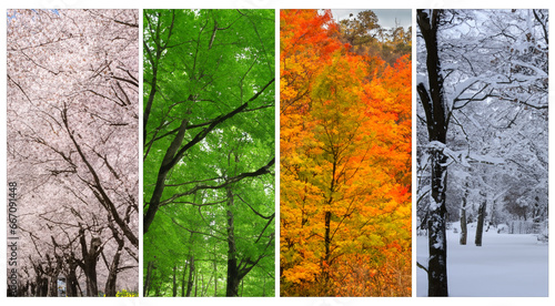春夏秋冬のコラージュ背景画像