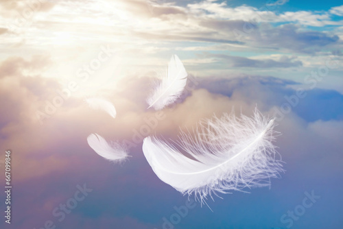 Abstract White Bird Feathers Floating in The Sky and Clouds. Softness of Feathers in Heavenly. © Siwakorn1933