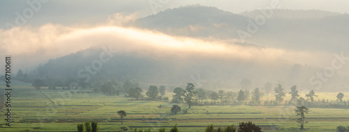 Beautiful view of morning light hitting fog,mountains, trees and green rice fields in the countryside in Chiang Rai. Northern Thailand.