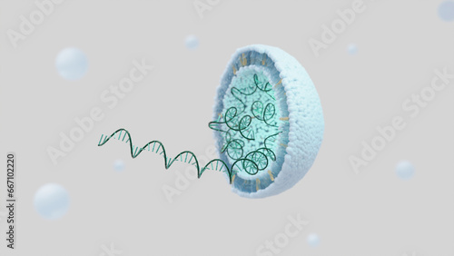 Photos General structure of the mRNA vaccine, 3D rendered