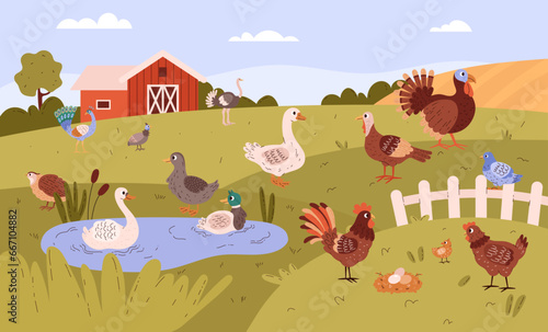 Poultry farm with free range birds in field.