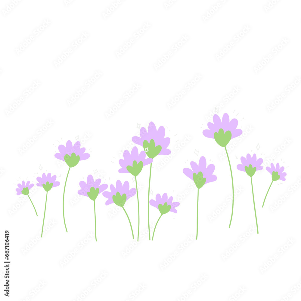 Purple flowers isolated on white
