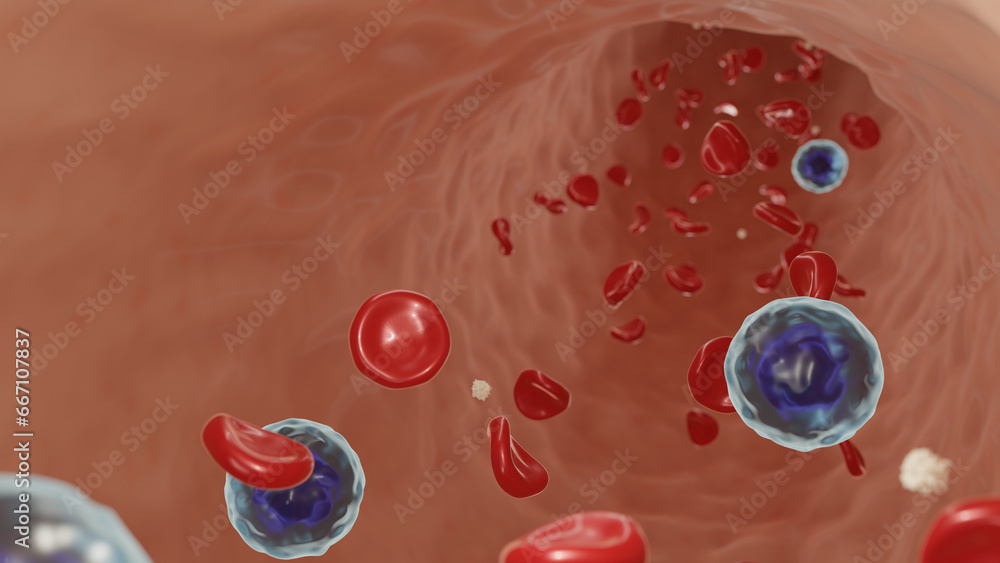 Fototapeta premium blood cells flowing through blood vessel, 3D illustration