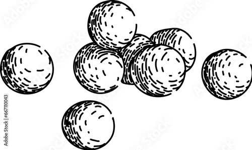 healthy pea hand drawn. fresh vegetable, natural green, eat raw healthy pea vector sketch. isolated black illustration