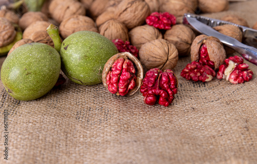 Fototapeta Naklejka Na Ścianę i Meble -  Red walnut harvest. Stil life and isolated images