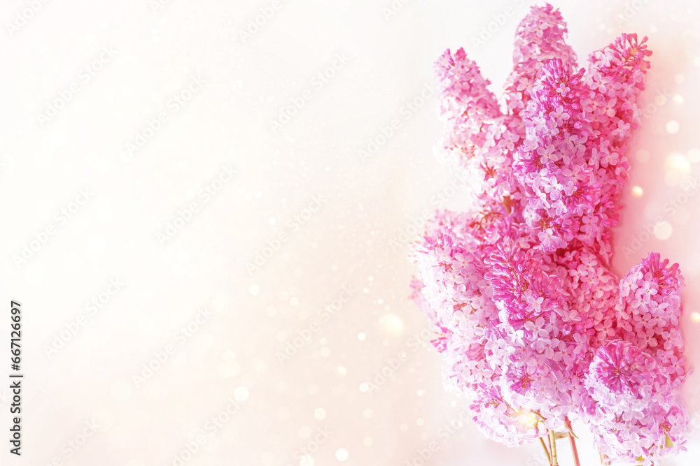 Fototapeta premium Bright and colorful flowers lilac