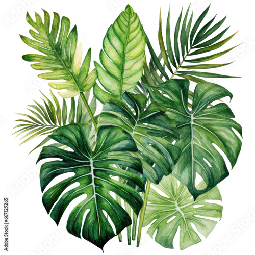 Watercolor Exotic plants palm leaves, isolated on transparent background