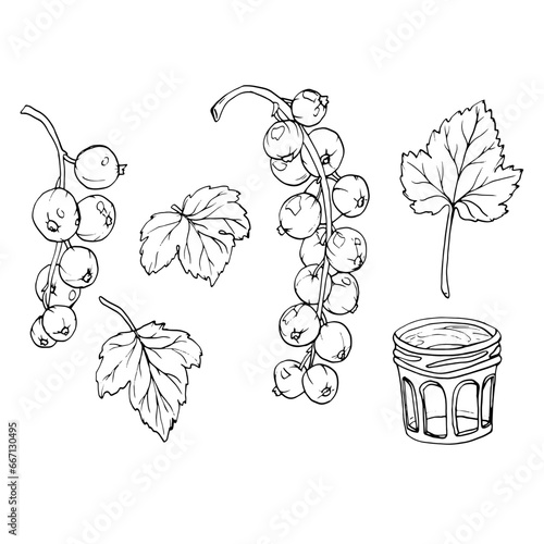Tableau sur toile Red currant berries isolated on white background