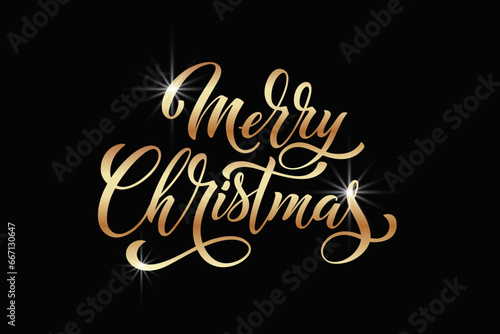 Merry Christmas and Happy New Year hand lettering calligraphy. Vector holiday illustration element. © Alwih