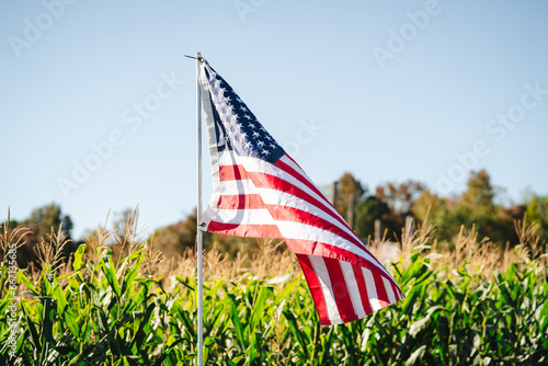 American Flag in front of a Corn Field