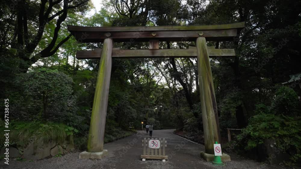 Tokyo, Japan, October 10, 2023 : The Tori traditional gate toward the famous Meiji Jingu Shinto temple in the heart of Tokyo. Torii gate at the Meiji Jingu Shrine in Shibuya, Tokyo, Japan Tokyo, Japan, October 10, 2023 : The Tori traditional gate toward the famous Meiji Jingu Shinto temple in the heart of Tokyo. Torii gate at the Meiji Jingu Shrine in Shibuya, Tokyo, Japan