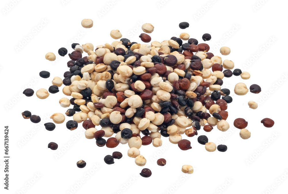 Pile raw quinoa seeds mix isolated on white background Pile raw quinoa seeds mix isolated on white background