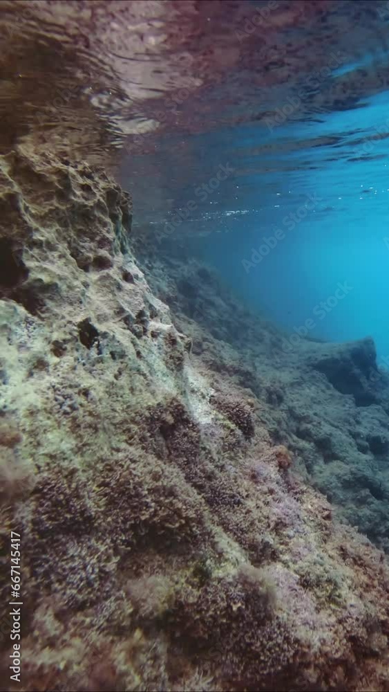 Vertical video, Camera moving forwards along cliff in clear blue water in sunlight. Slow motion. Underwater landscape of Mediterranean Sea Vertical video, Camera moving forwards along cliff in clear blue water in sunlight. Slow motion. Underwater landscape of Mediterranean Sea