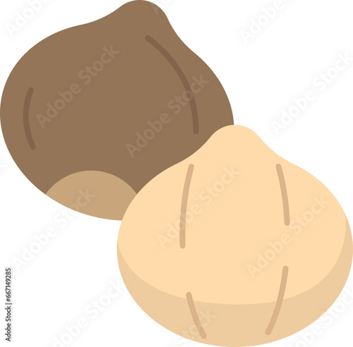 macadamia  icon