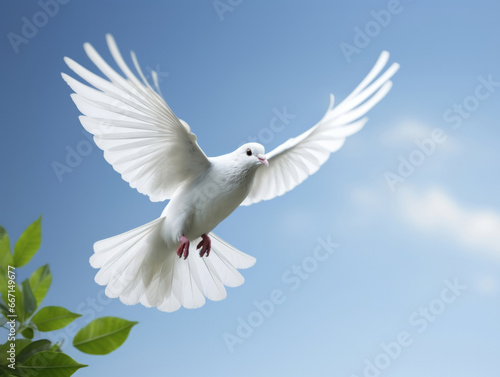 Peace illustrated by white dove. Olivea branch. Peace concept.Peace illustrated by white dove. Green branch. Peace concept.aIllustration of soaring white dove. Olive branch. Peace concept.