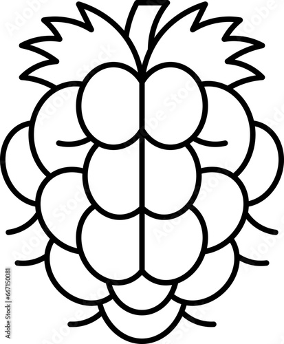 salmonberry  icon