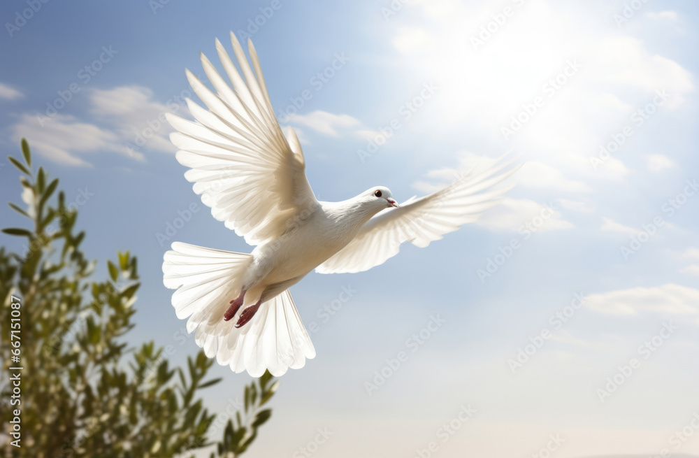 Obraz premium Peace illustrated by white dove. Green branch. Peace concept.