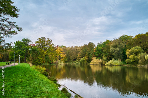 Widok na jesienne drzewa w mieście