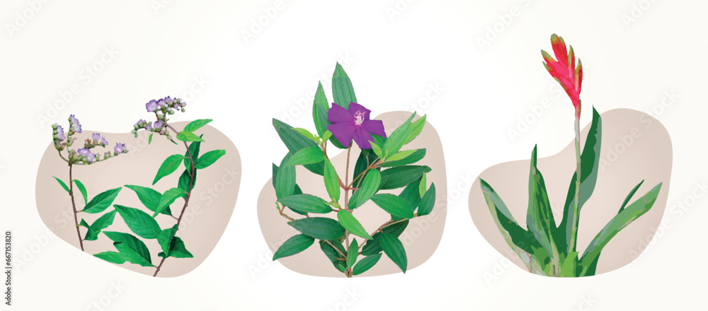 flowers, floral, print, pattern, decoration, fashion. nature, forest, leaves, vegetation, beauty. vector, icon, illustration, abstract, organic, shapes