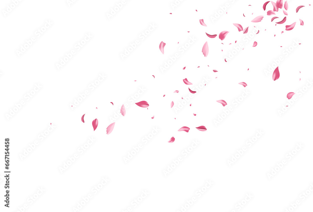 Red Sakura Spring Vector White Background. Red Sakura Spring Vector White Background.