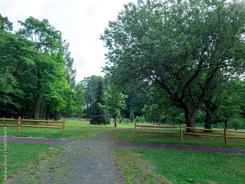 a walk in the park in summer a walk in the park in summer