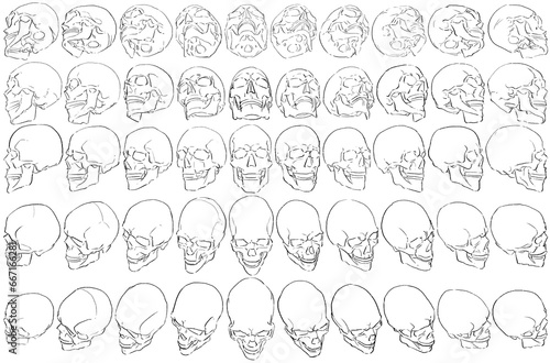 50 Skulls - Digital Art (3D to 2D)