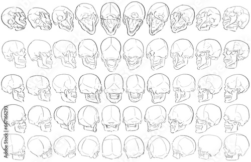 50 Skulls - Digital Art (3D to 2D)