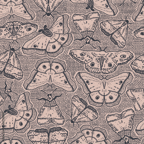 Esoteric butterflies or moth bugs repeat pattern. Dark and mystic insect design for Halloween and fall. Black and pink alchemy illustration with witchcraft and sorcery feel.