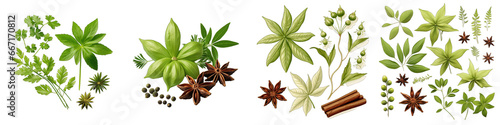 Anise  Herbs And Leaves Hyperrealistic Highly Detailed Isolated On Transparent Background Png File