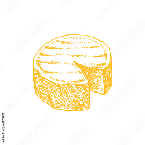 Cheese watercolor eimage. Creamy cutted brie or camembert cheese illustration. Delicious food image. French cuisine milk product. Tasty healthy cream organic snack.