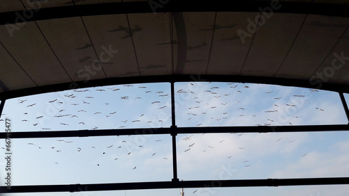 Wallpaper Mural window in the blue sky Torontodigital.ca
