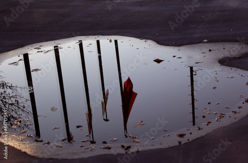 Wallpaper Mural Flag on the water  Torontodigital.ca