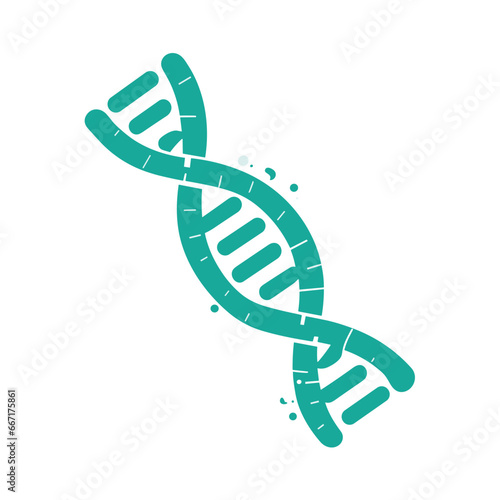 Scientific Symmetry DNA Vector Design