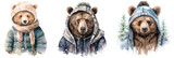 Set of watercolor illustration winter, bear in a hat and jacket, isolated on transparent background