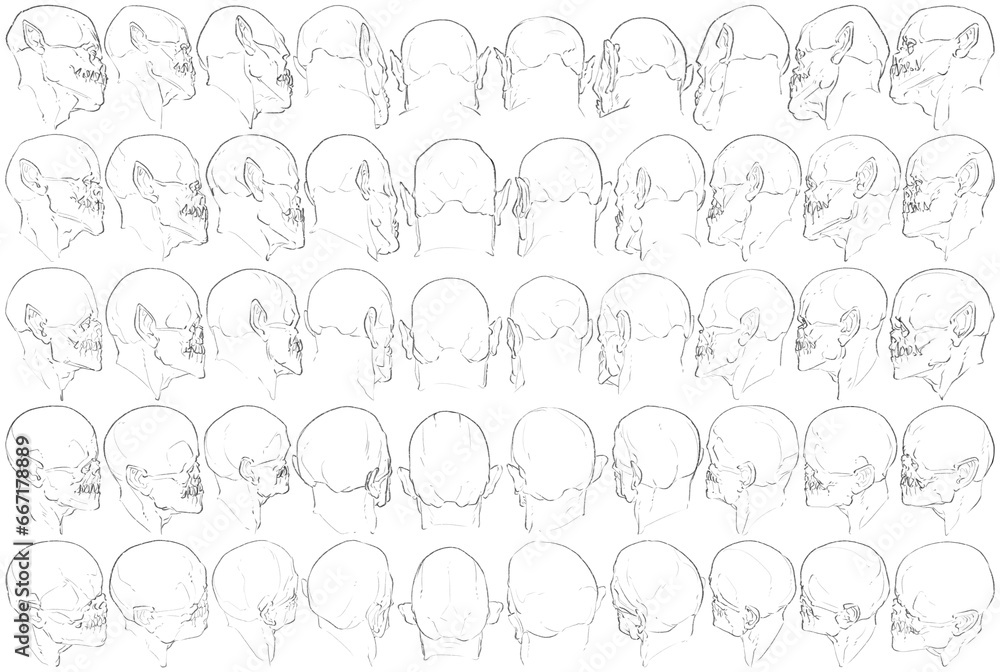 50 Heads - Digital Art (3D to 2D)