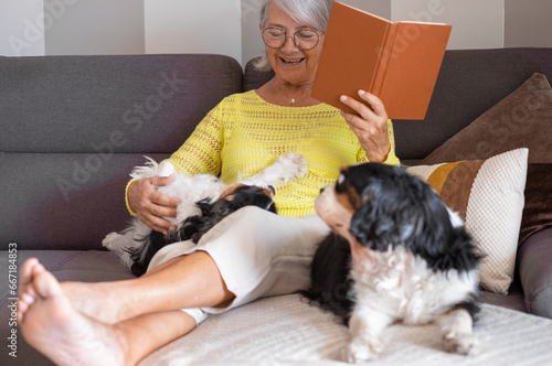 Portrait of old senior smiling woman lying on home sofa with a book playing with her two cavalier king Charles spaniel dogs. Elderly lady enjoying retirement and best friends concept
