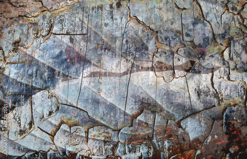 Wallpaper Mural texture of the blue leaf Torontodigital.ca