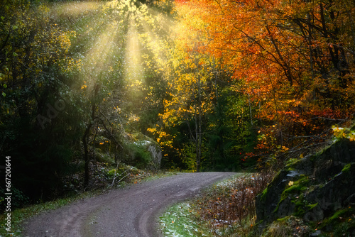 Sun is shining on the road 