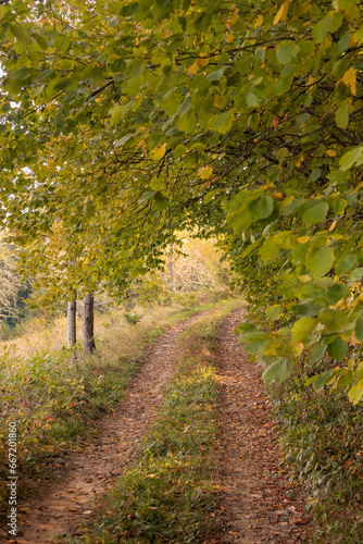 Different perspectives of Saliste de Beius village located in Bihor County, Romania in autumn
